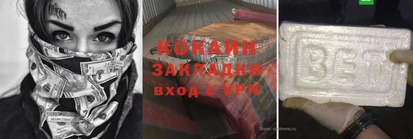 хмурый Арсеньев