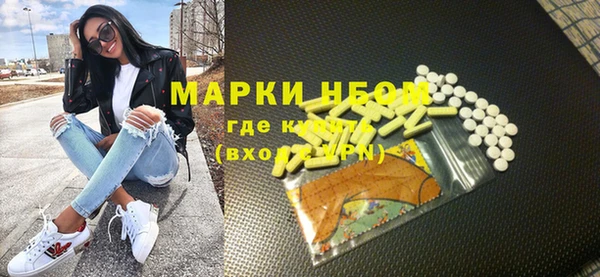 хмурый Арсеньев