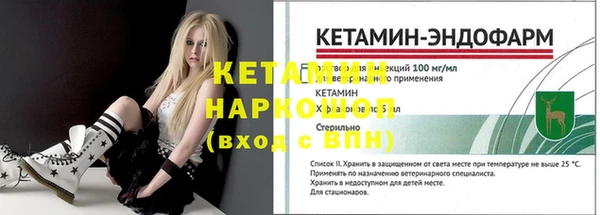 хмурый Арсеньев