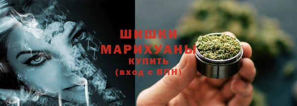 хмурый Арсеньев