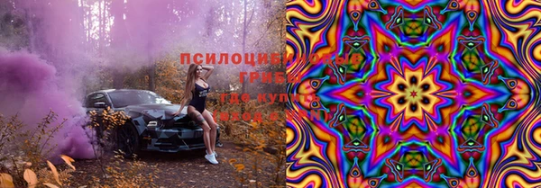 хмурый Арсеньев
