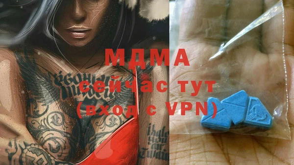 хмурый Арсеньев