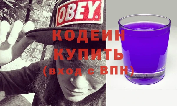 хмурый Арсеньев