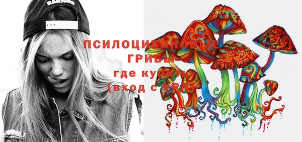 хмурый Арсеньев